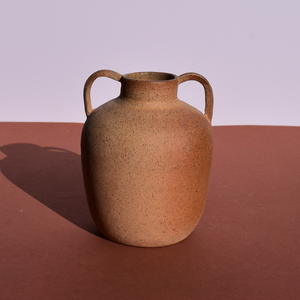 vase with handles
